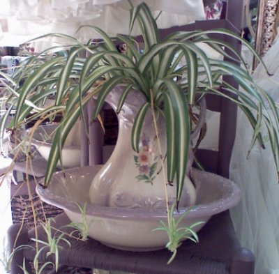 Vintage and/or Unique Pitcher and Water Basin 